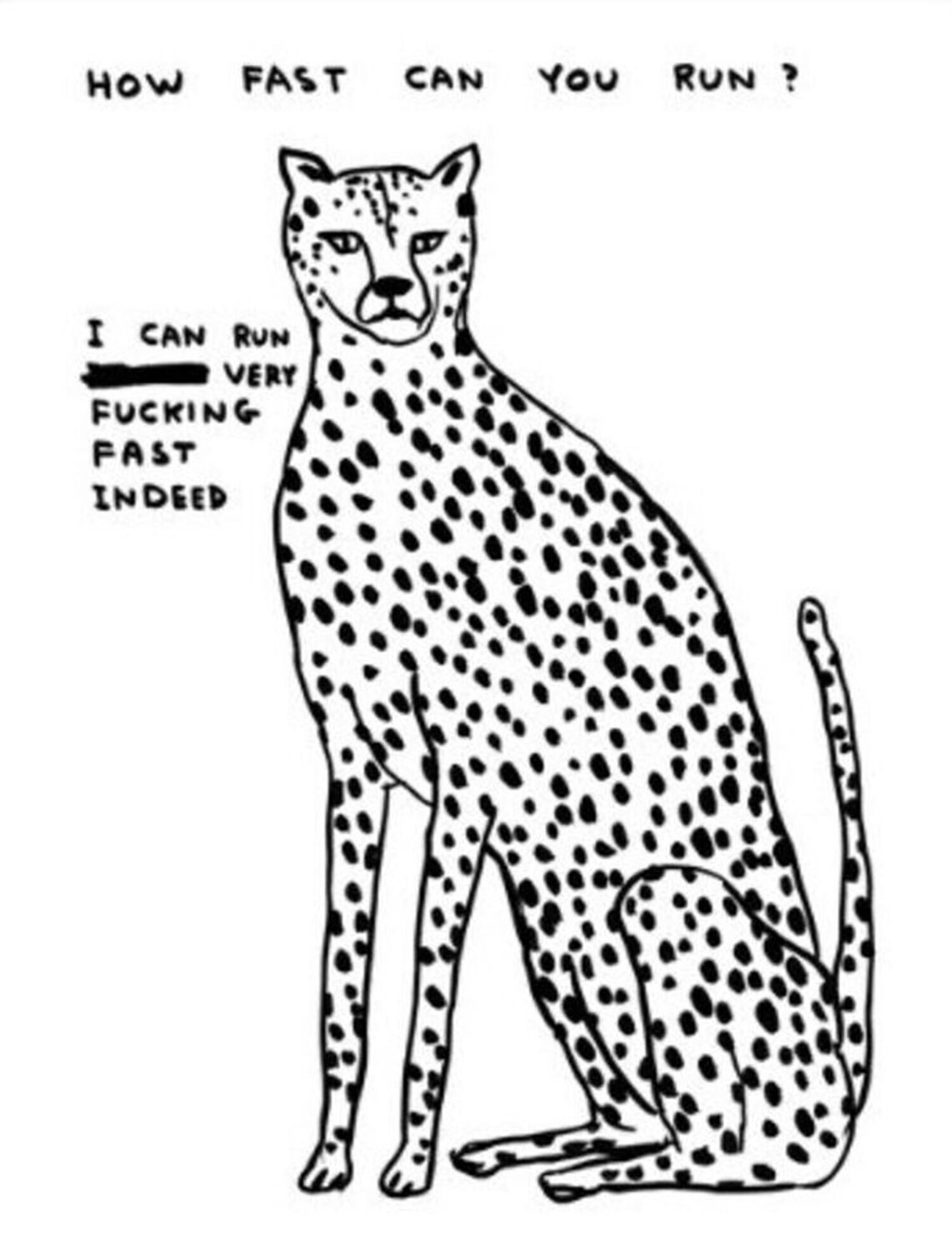 How Fast Can You Run? David Shrigley Stampa in vendita