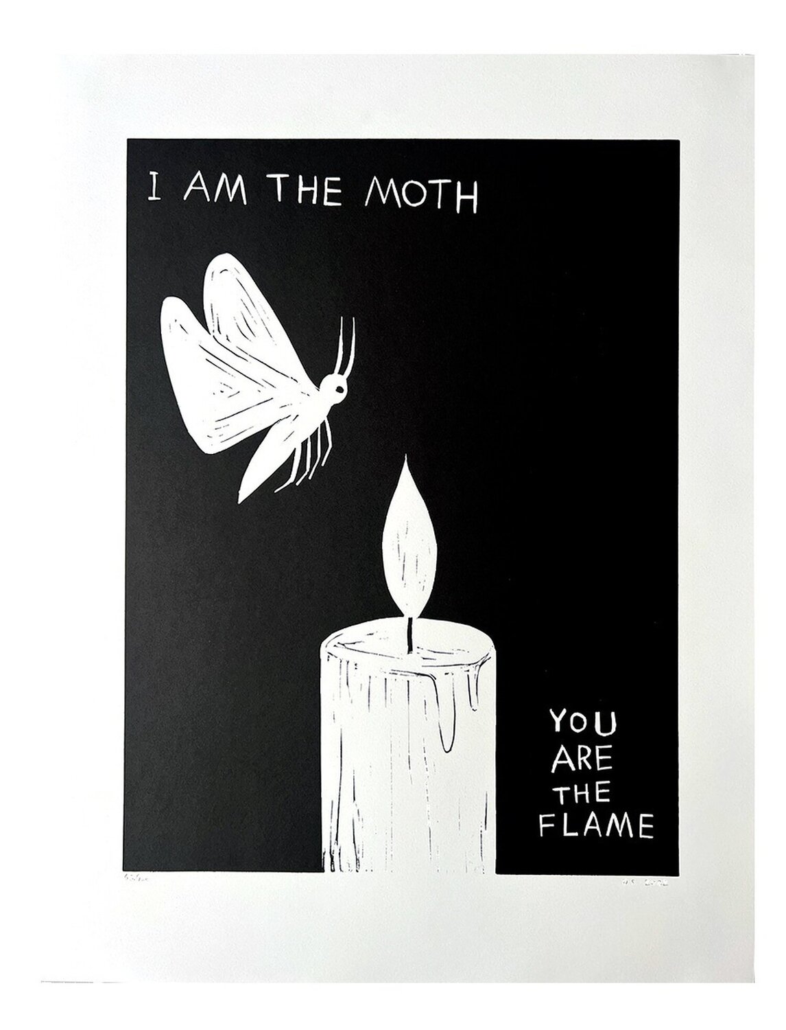 I AM THE MOTH David Shrigley Afdruk te koop