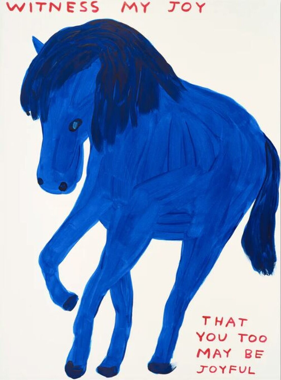 Witness my joy, that you too may be joyful David Shrigley Druck zu verkaufen
