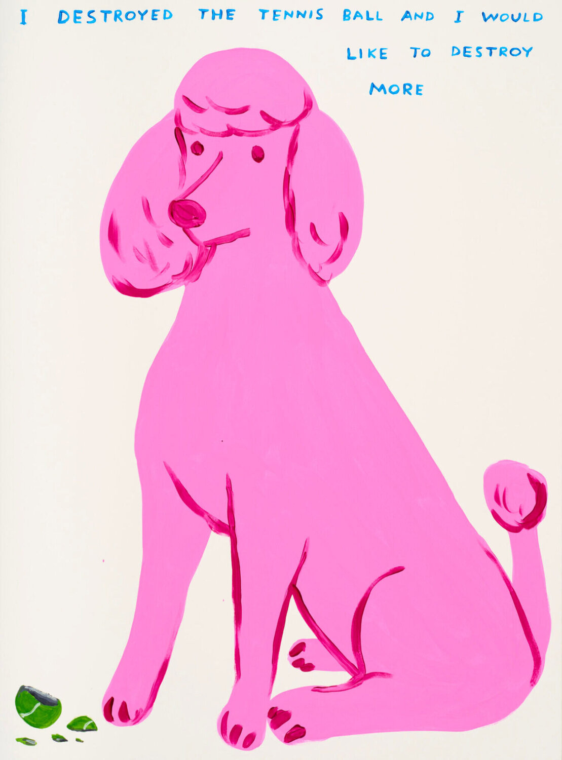 I destroyed the tennis ball David Shrigley Stampa in vendita