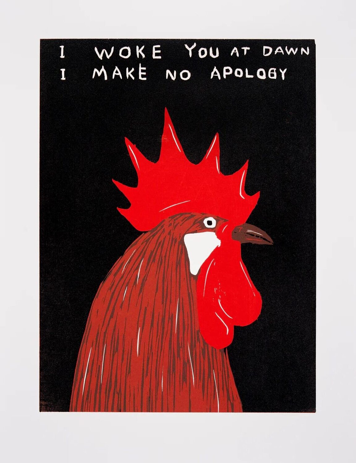 I WOKE YOU AT DAWN David Shrigley Stampa in vendita