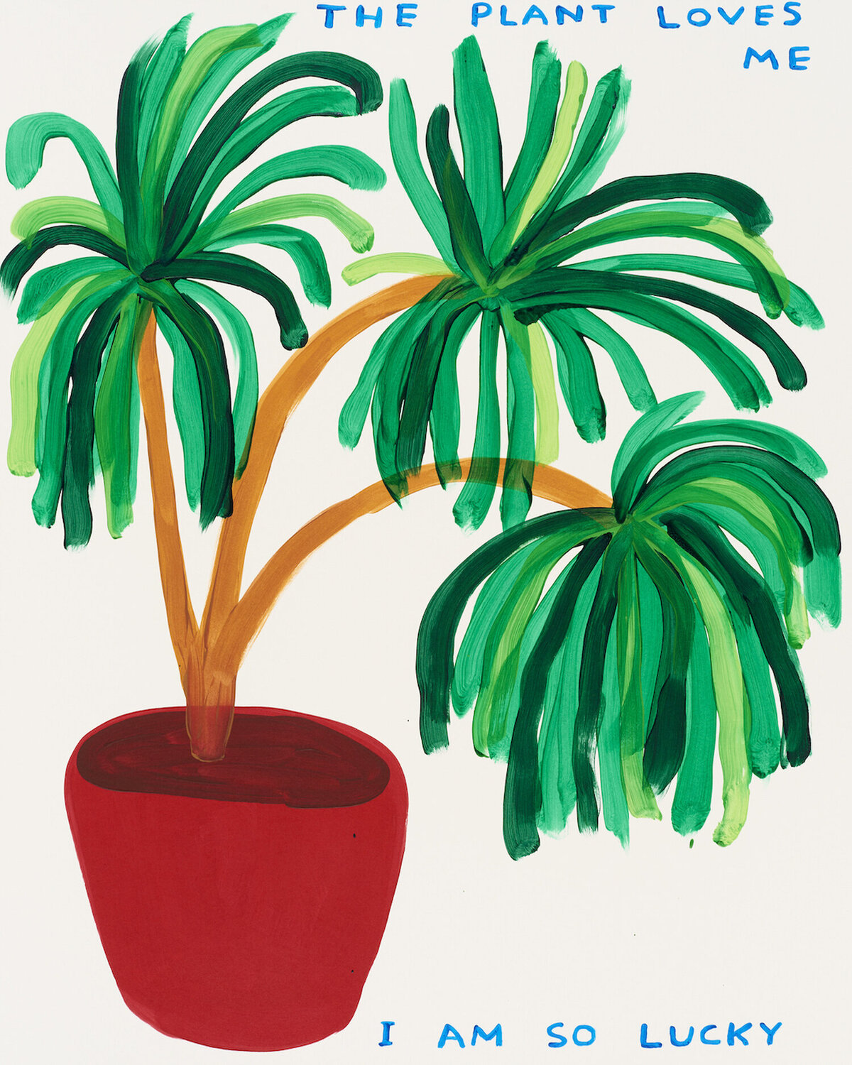 The Plant Loves me David Shrigley Druck zu verkaufen