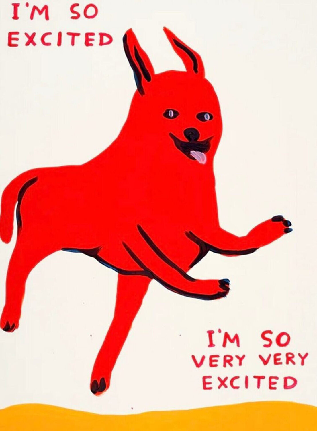 David Shrigley I'm So Excited David Shrigley Stampa in vendita