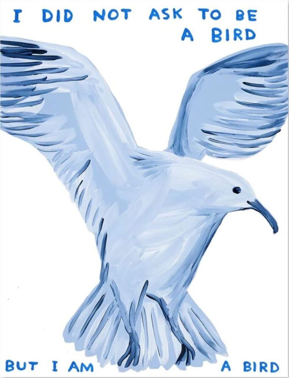 I Did Not Ask To Be A Bird David Shrigley Stampa in vendita