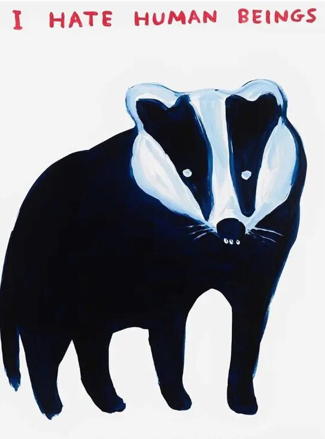  I Hate Human Beings David Shrigley Stampa in vendita