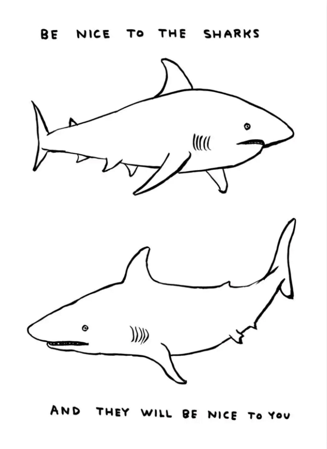 David Shrigley Be Nice To The Sharks David Shrigley Stampa in vendita
