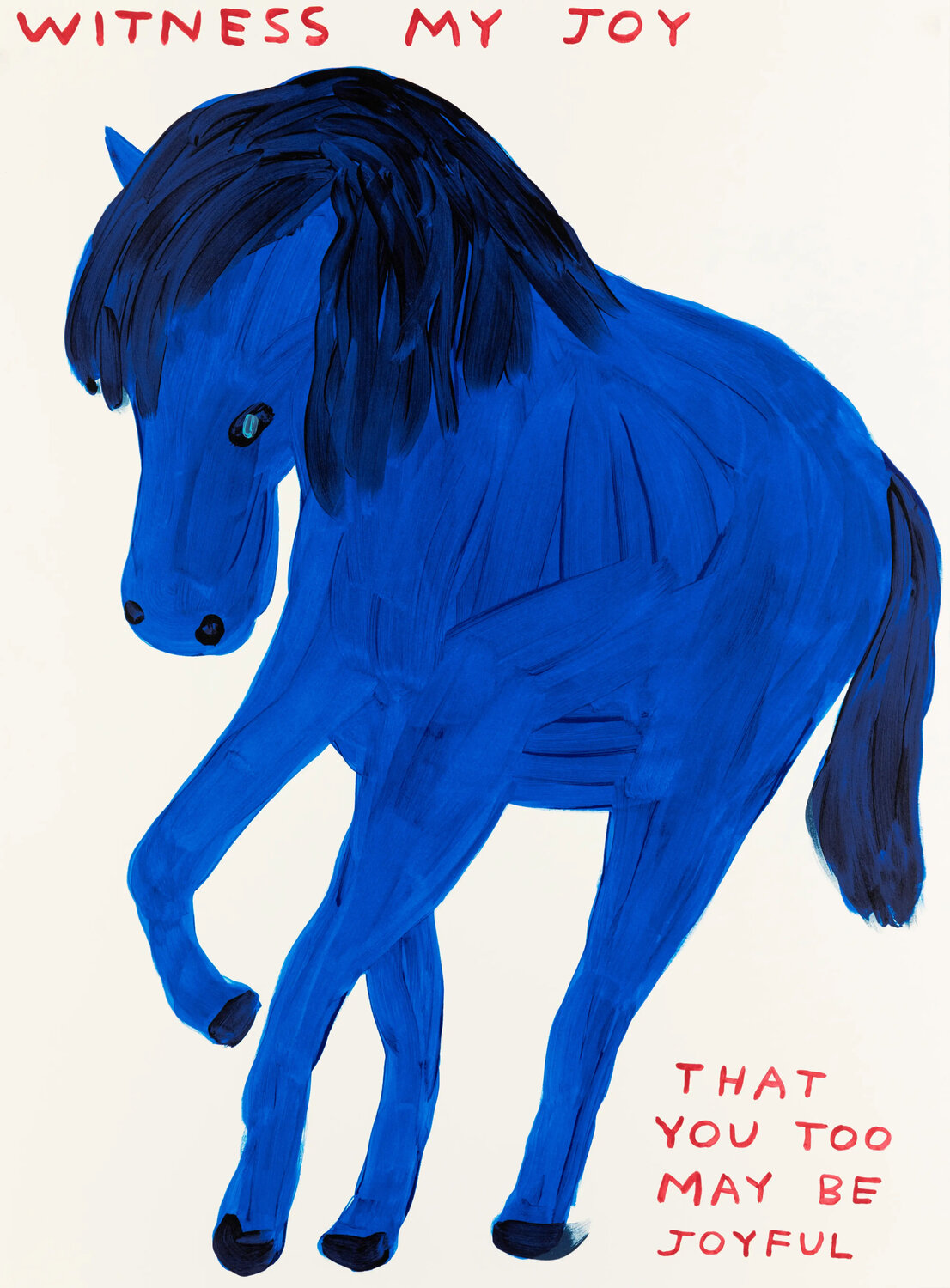 Witness My Joy David Shrigley Druck zu verkaufen