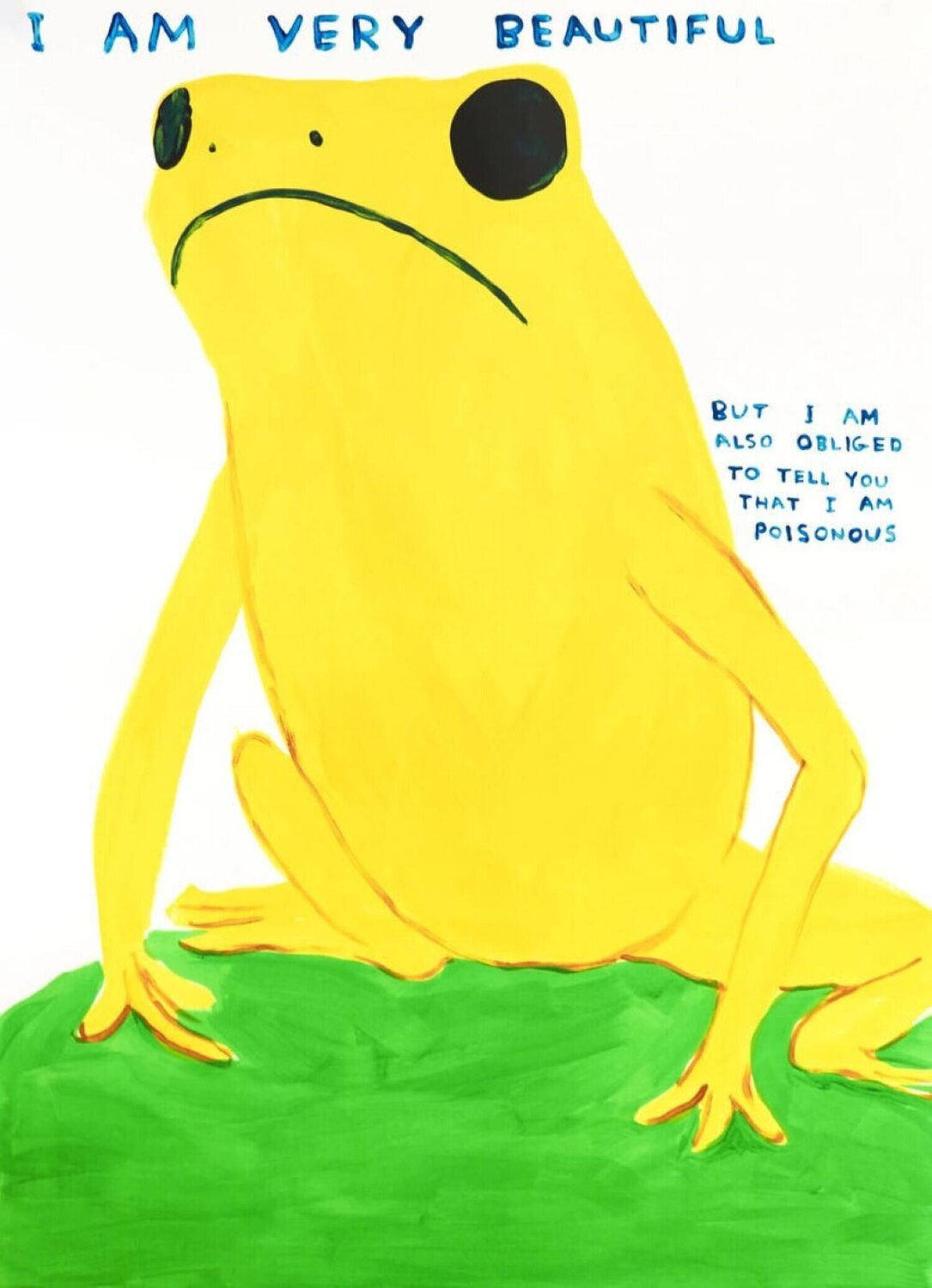 I Am Very Beautiful David Shrigley Print for sale