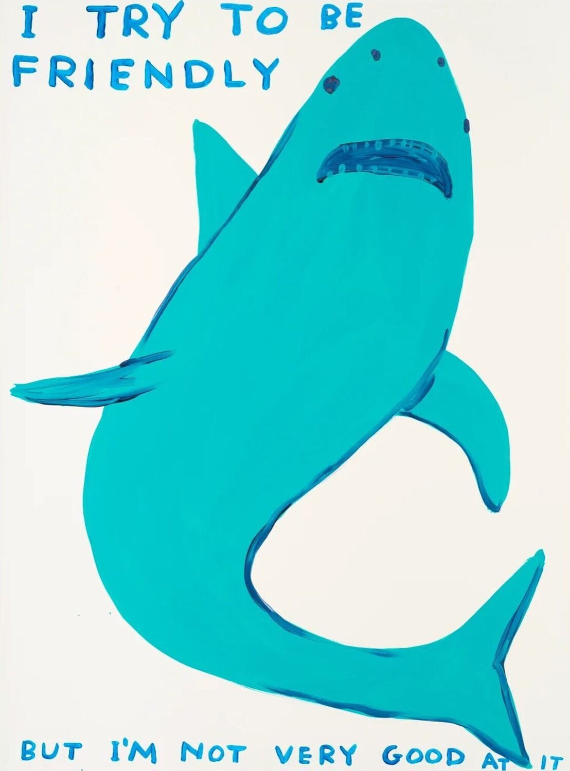 I Try To Be Friendly David Shrigley Stampa in vendita