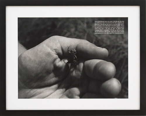 What is this little guy's job in the world by David Wojnarowicz, Photography for Sale on Singulart