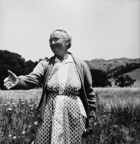 Woman from Berryessa Valley di Dorothea Lange, Fotografia in vendita su Singulart