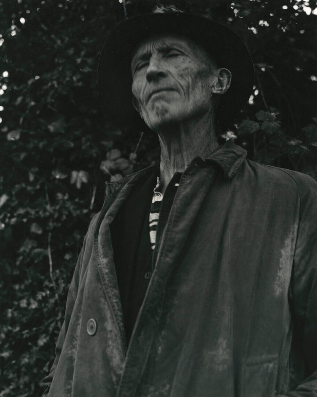 Story Teller, Counry Clare, Ireland Dorothea Lange Fotografie zu verkaufen