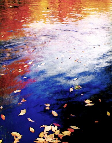 Pool in Pond Brook, New Hampshire von Eliot Porter, Fotografie kaufen auf Singulart