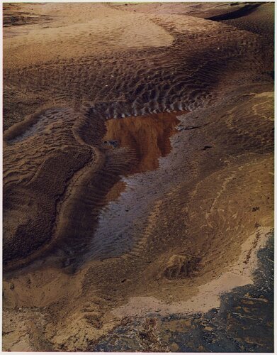 Drying Pool in Side Canyon, Water Pocket, Utah, 1963 von Eliot Porter, Fotografie kaufen auf Singulart