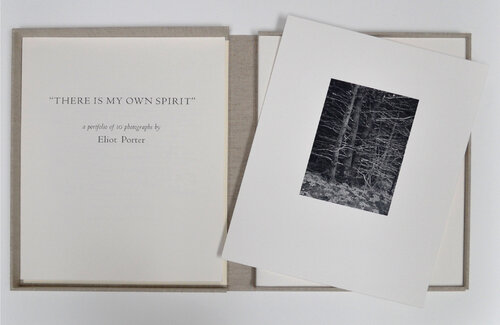 There is My Own Spirit von Eliot Porter, Fotografie kaufen auf Singulart