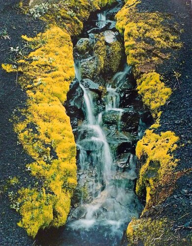 Small Stream in Cinders - Skalafell von Eliot Porter, Fotografie kaufen auf Singulart