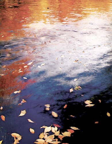 Pool in Pond Brook, New Hampshire von Eliot Porter, Fotografie kaufen auf Singulart