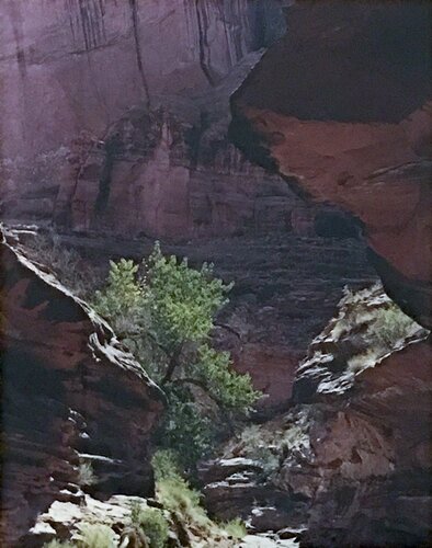 Coyote Gulch, Escalante River, Glen Canyon, Utah van Eliot Porter, Afdruk te koop op Singulart