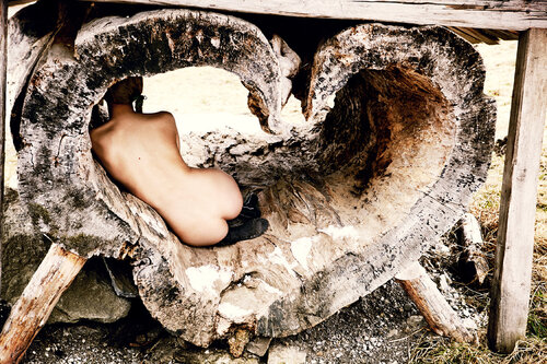 Tree of Love van Ellen von Unwerth, Fotografie te koop op Singulart