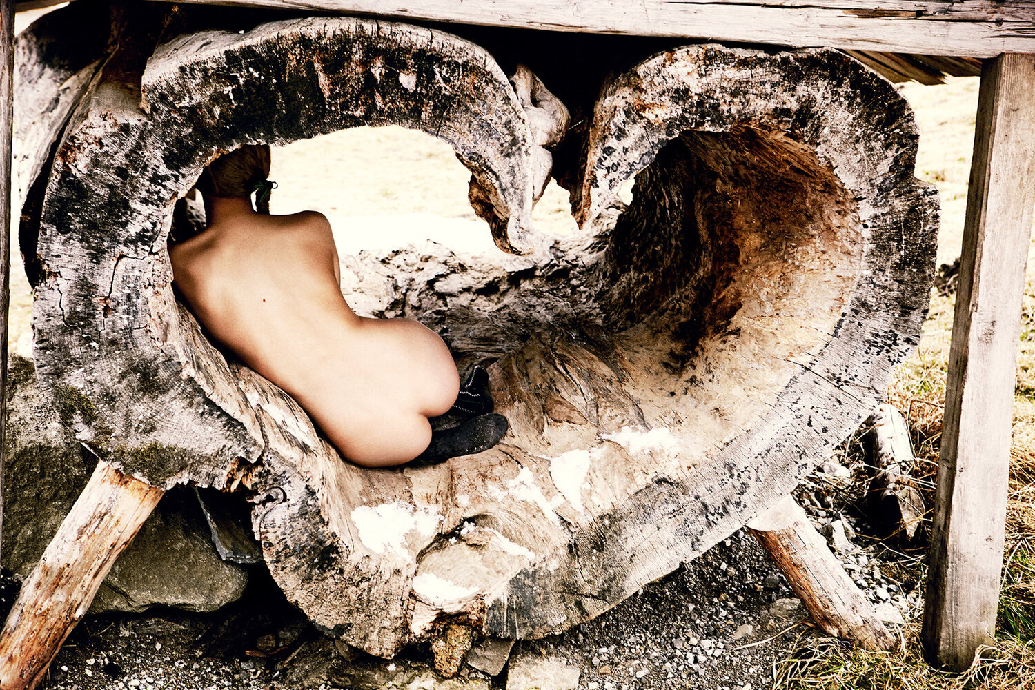 Tree of Love Ellen von Unwerth