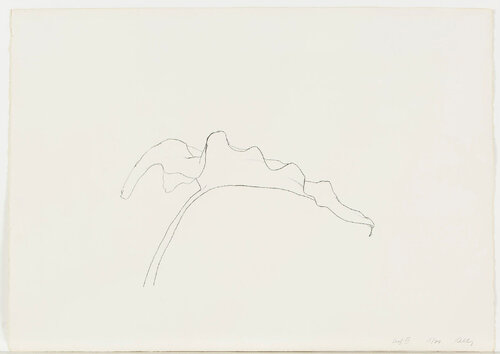 Leaf VI van Ellsworth Kelly, Afdruk te koop op Singulart