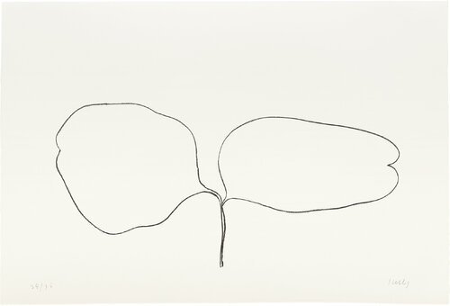 Locust (Acacia) van Ellsworth Kelly, Afdruk te koop op Singulart