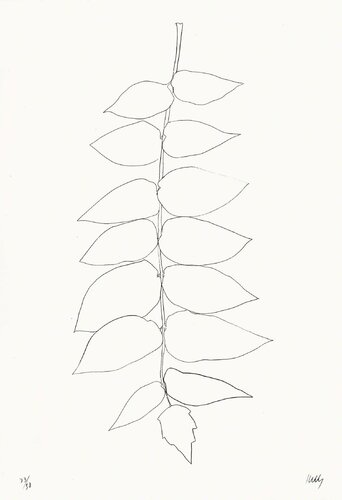 Ailanthus Leaves II (Vernis du Japon II) van Ellsworth Kelly, Afdruk te koop op Singulart