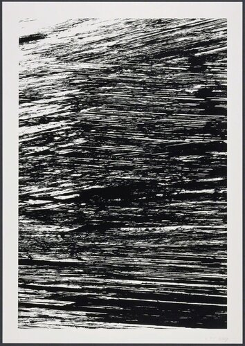 The Nile from States of the River van Ellsworth Kelly, Afdruk te koop op Singulart