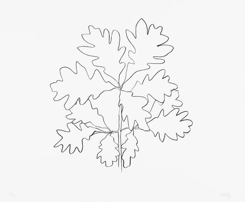 Oak VI van Ellsworth Kelly, Afdruk te koop op Singulart