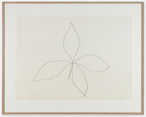 Oak van Ellsworth Kelly, Werk op papier te koop op Singulart