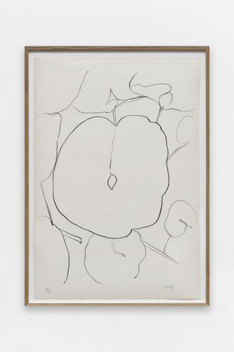 Melon Leaf van Ellsworth Kelly, Afdruk te koop op Singulart