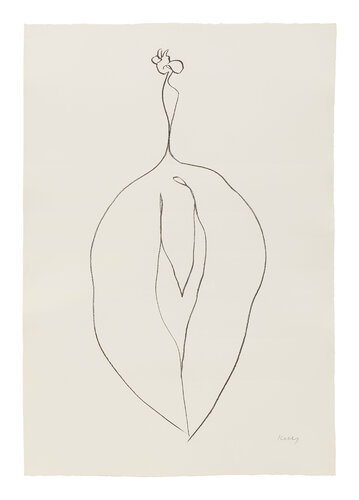 Seaweed (Algue) van Ellsworth Kelly, Afdruk te koop op Singulart