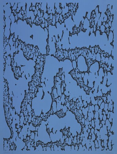 Jack/Blue di Ellsworth Kelly, Stampa in vendita su Singulart