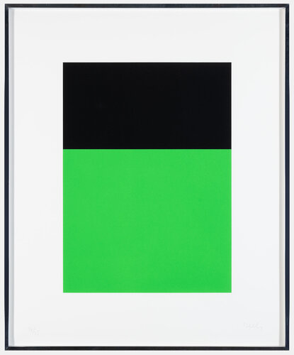 Black/Green di Ellsworth Kelly, Stampa in vendita su Singulart