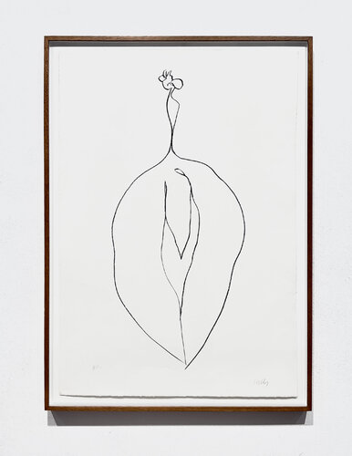 Seaweed (Algue) van Ellsworth Kelly, Afdruk te koop op Singulart