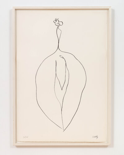 Seaweed (Algue) van Ellsworth Kelly, Afdruk te koop op Singulart