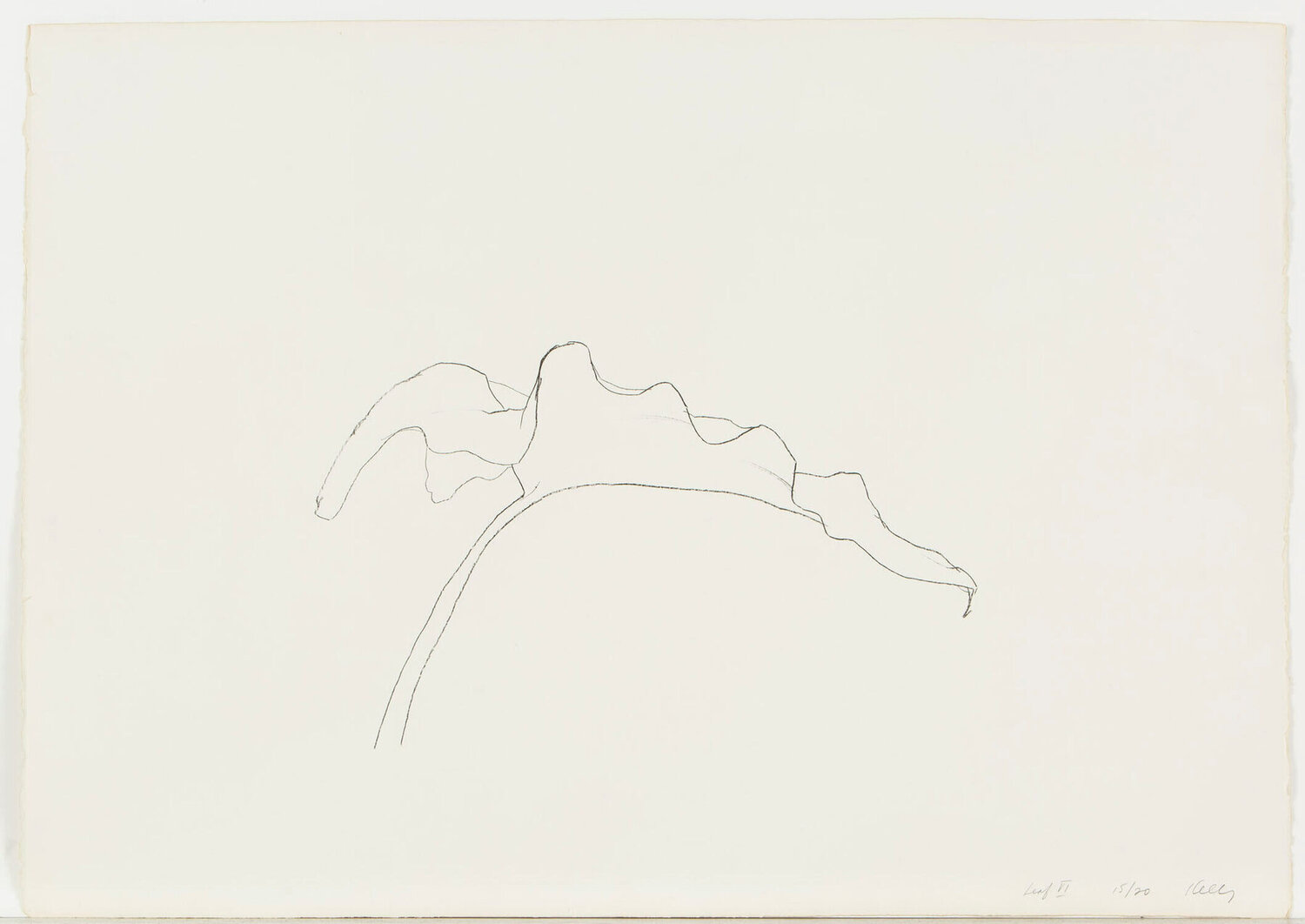 Leaf VI Ellsworth Kelly