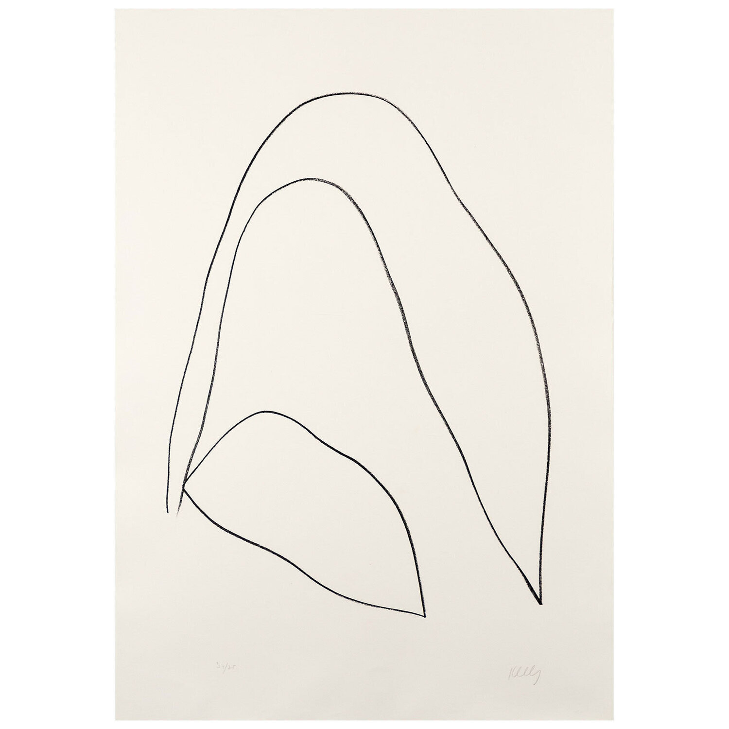 Leaves (Feuilles) Ellsworth Kelly