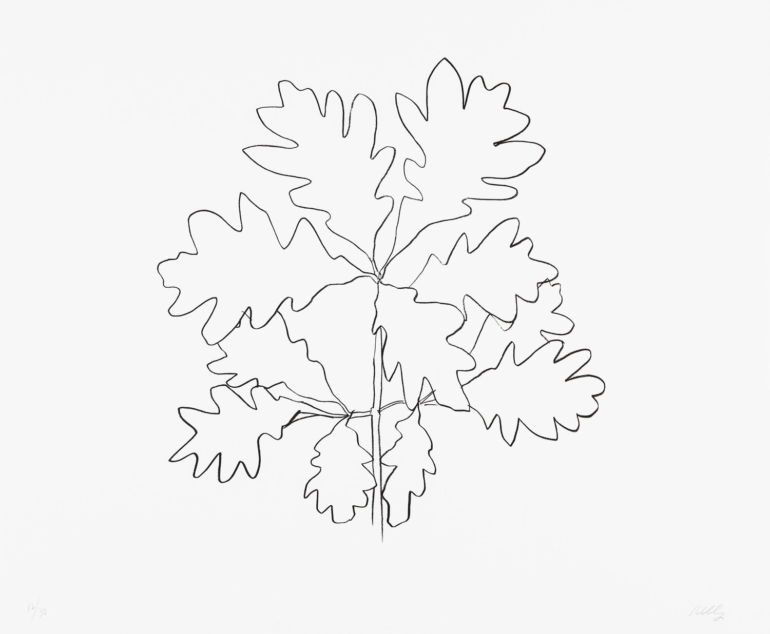 Oak VI Ellsworth Kelly