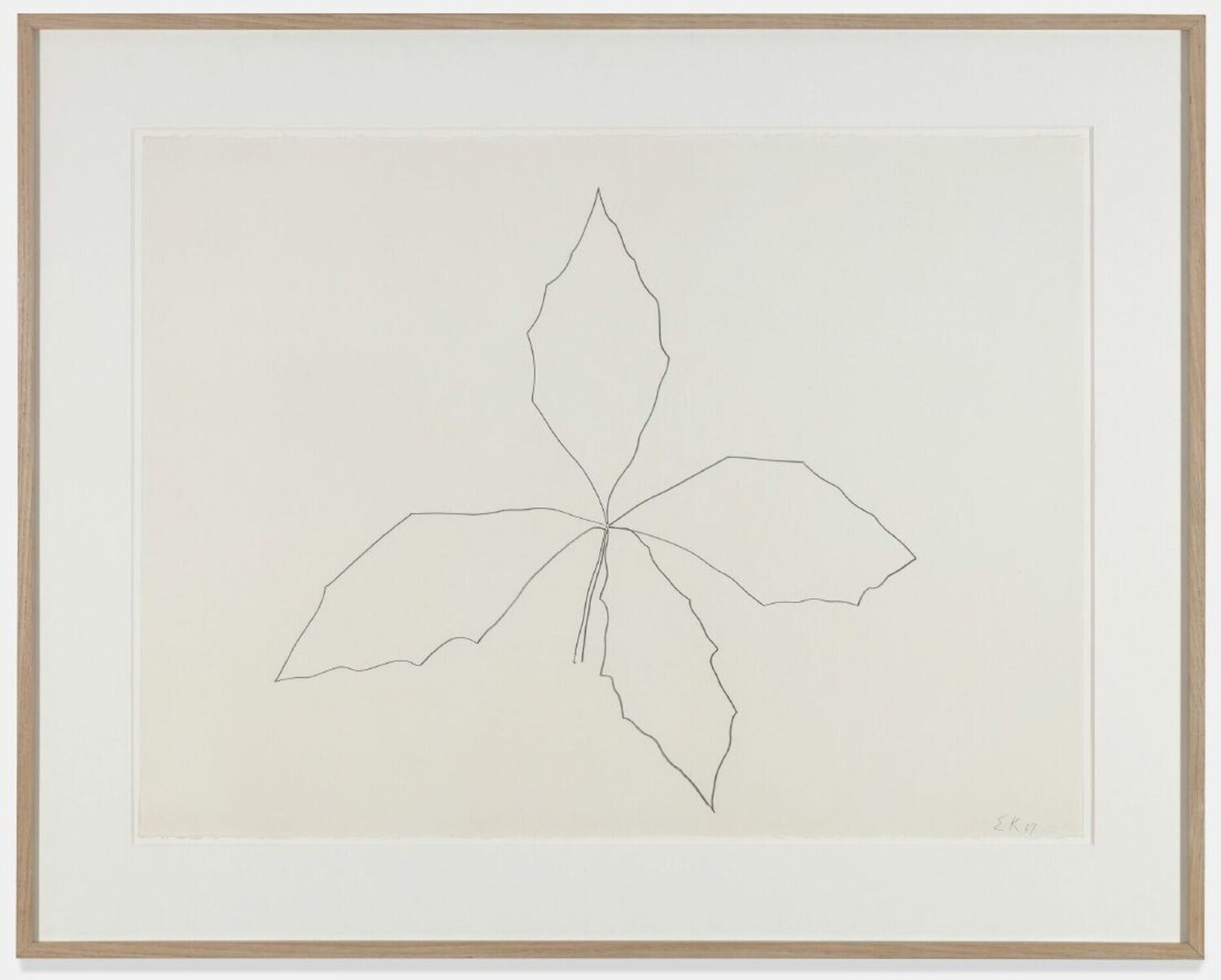 Oak Ellsworth Kelly