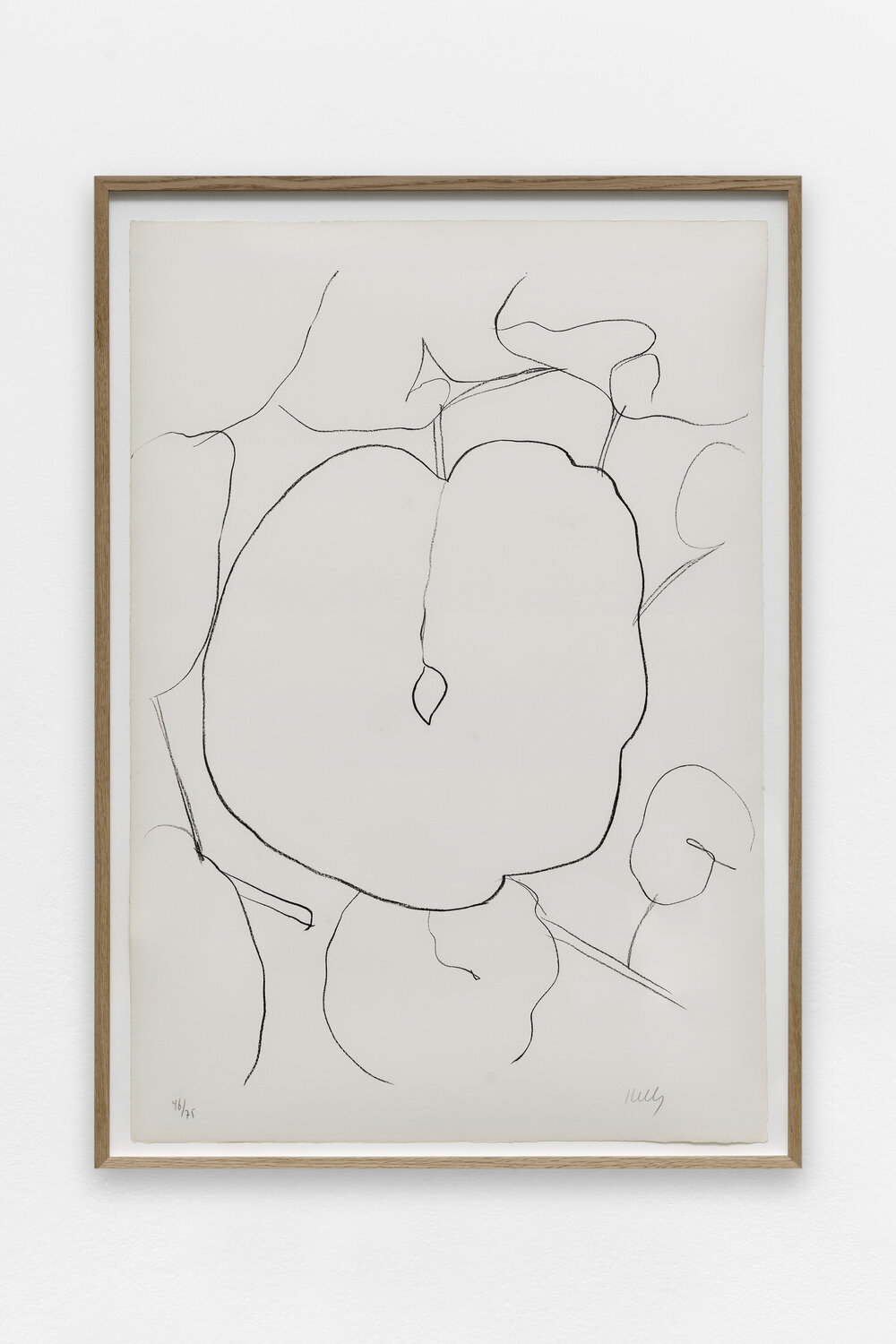 Melon Leaf Ellsworth Kelly