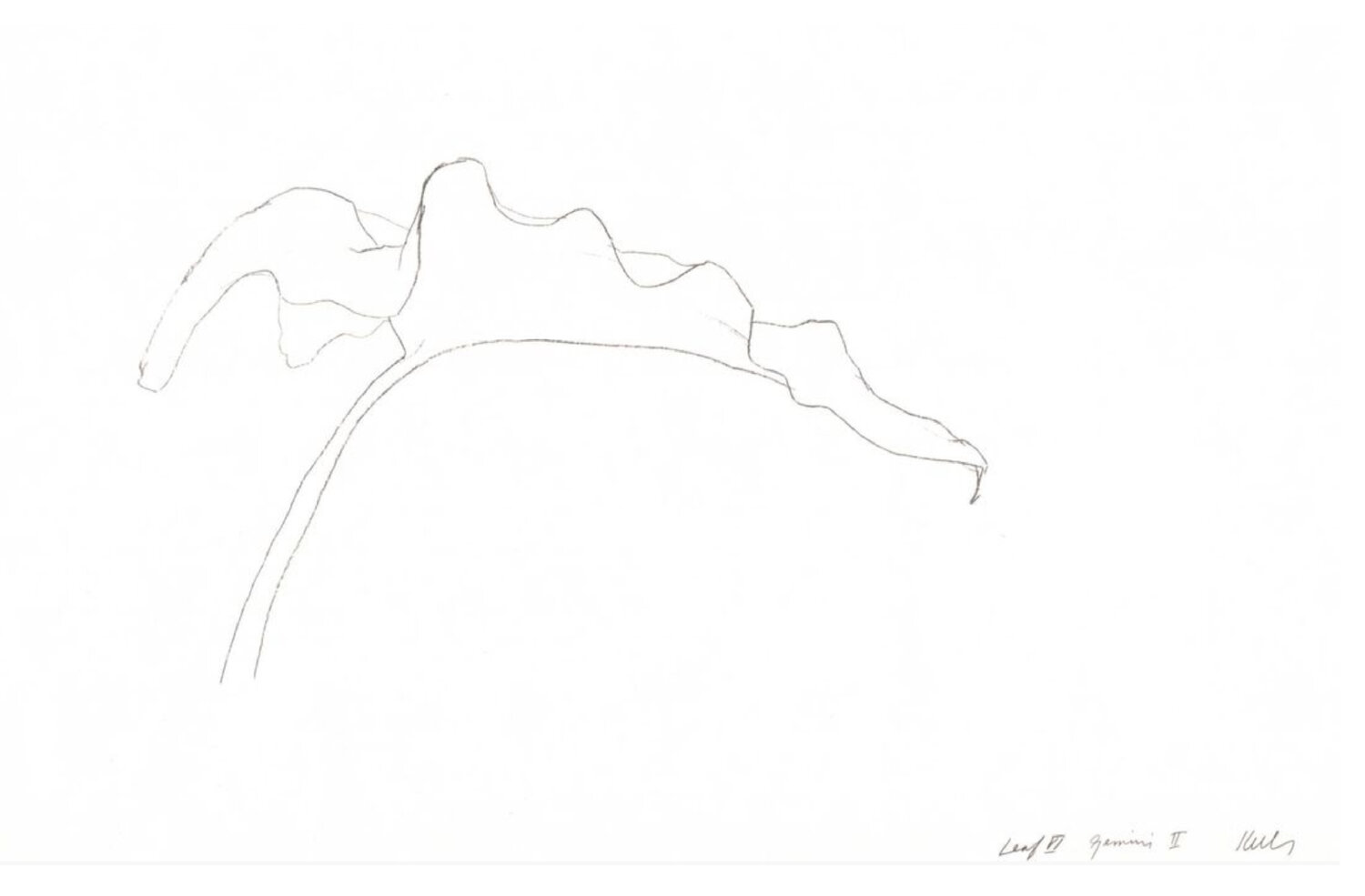 Leaf VI Ellsworth Kelly