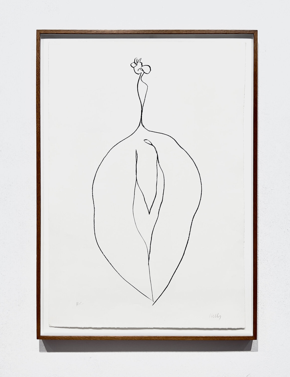 Seaweed (Algue) Ellsworth Kelly