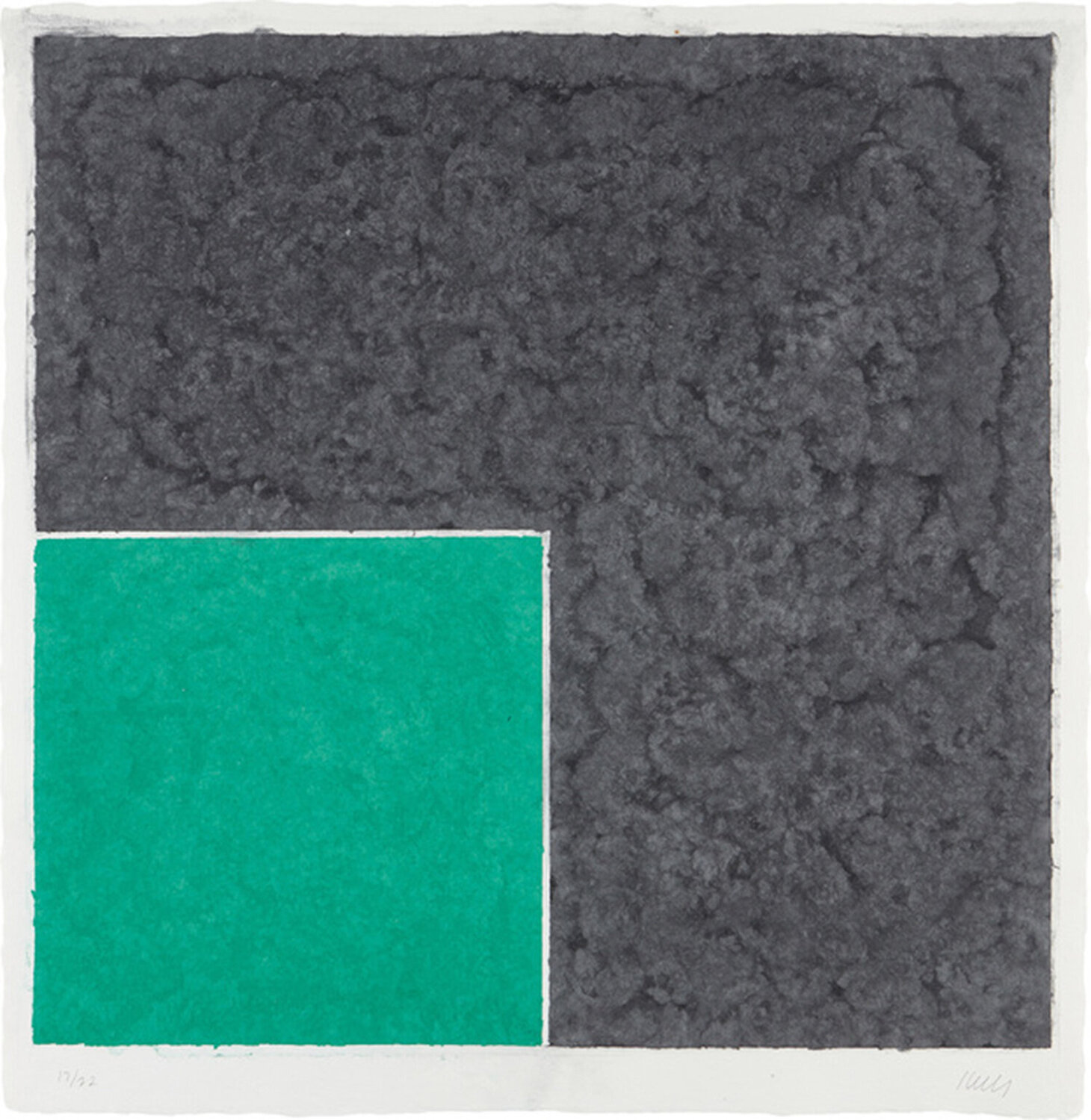Colored Paper Image XVII Ellsworth Kelly