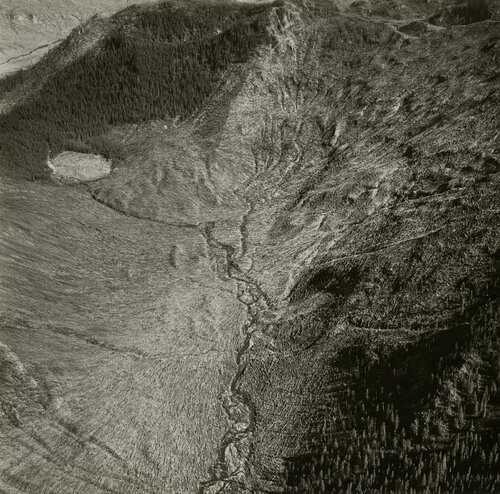 Area of Mount St. Helens by Emmet Gowin, 사진 for Sale on Singulart