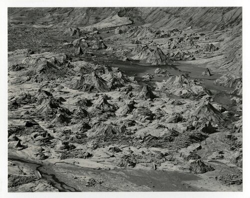 Bear Cove, Spirit Lake, Mount St. Helens by Emmet Gowin, 사진 for Sale on Singulart