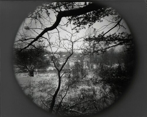 Renee Booher's House, Danville, Virginia van Emmet Gowin, Fotografie te koop op Singulart