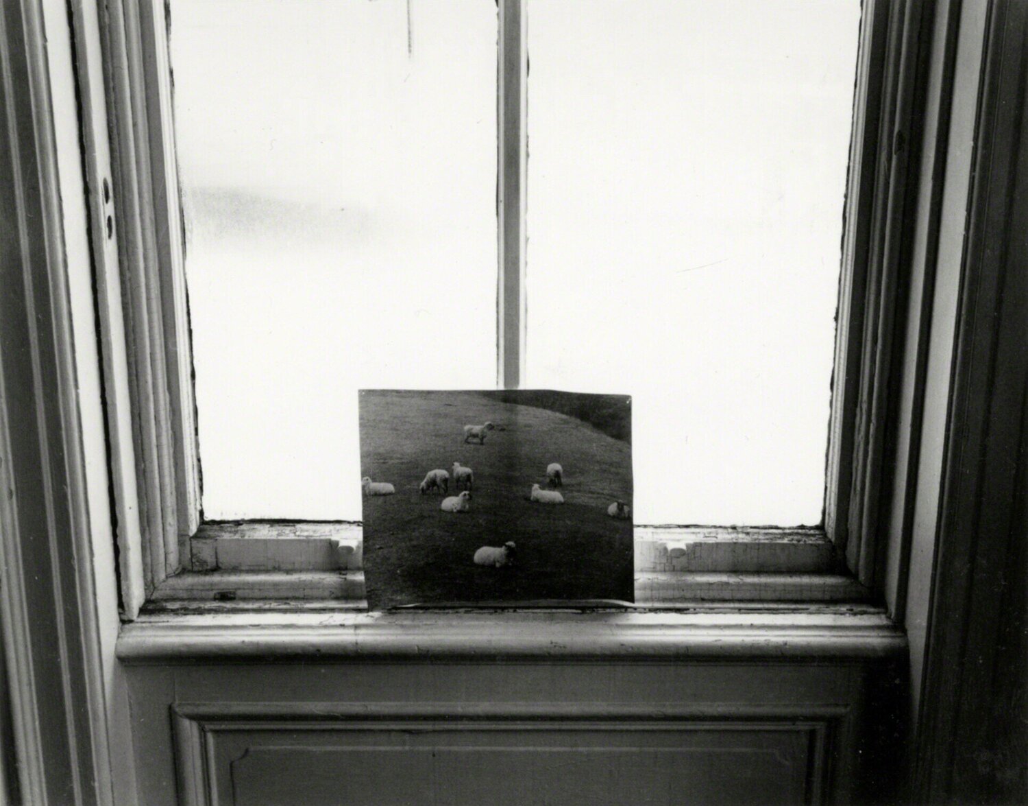 Providence, RI. Emmet Gowin Fotografia in vendita