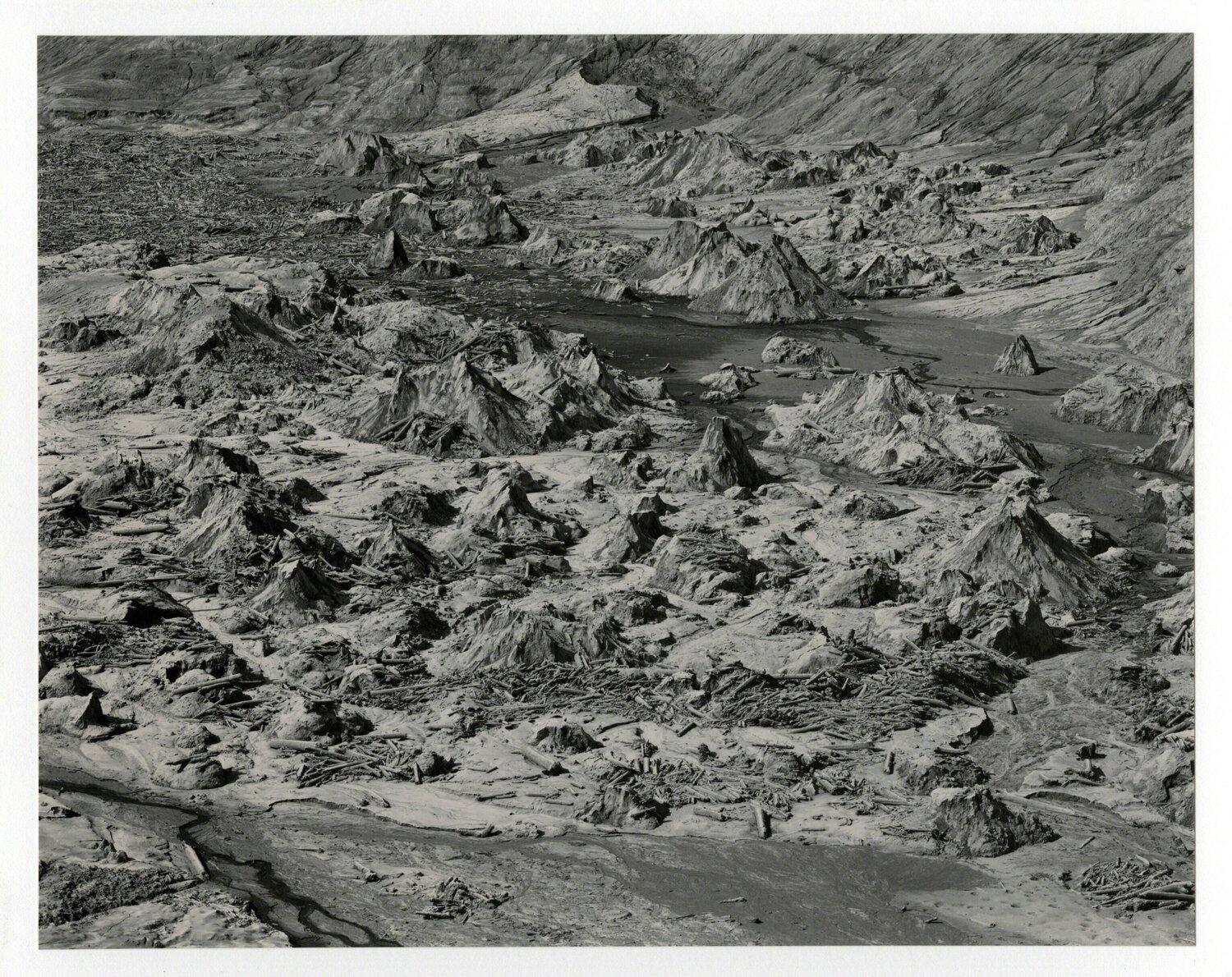 Bear Cove, Spirit Lake, Mount St. Helens Emmet Gowin Fotografie zu verkaufen