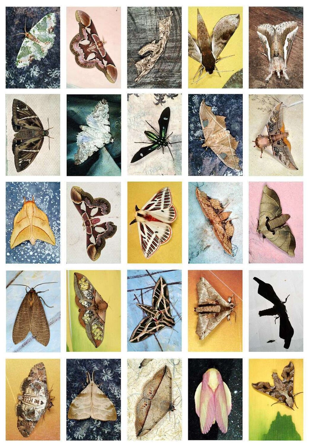 Index 35, October 2010, Bolivia Emmet Gowin Fotografie zu verkaufen